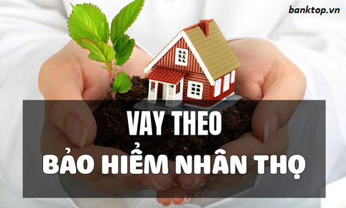 vay tiền theo bảo hiểm nhân thọ