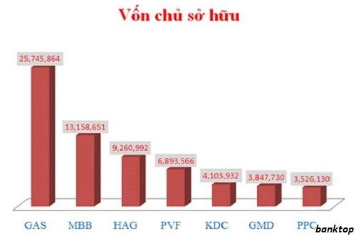 Vốn chủ sở hữu là gì?