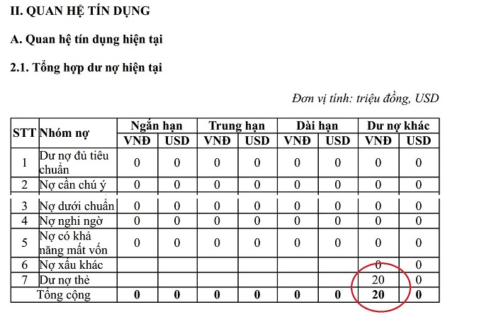 Ví dụ kết quả tra cứu CIC cá nhân