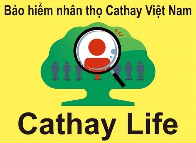 Bảo hiểm nhân thọ Cathay Life Việt Nam