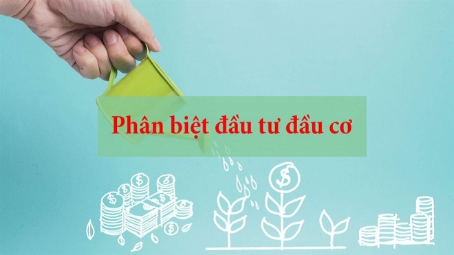 Đầu cơ và đầu tư có sự khác nhau