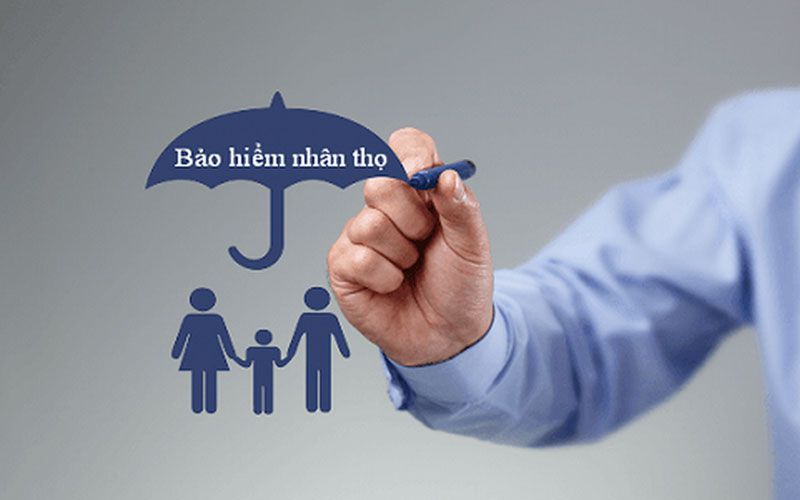 Tra cứu hợp đồng bảo hiểm nhân thọ cho biết những thông tin gì?