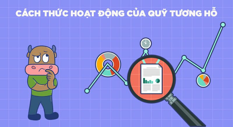 Quỹ tương hỗ hoạt động như thế nào?