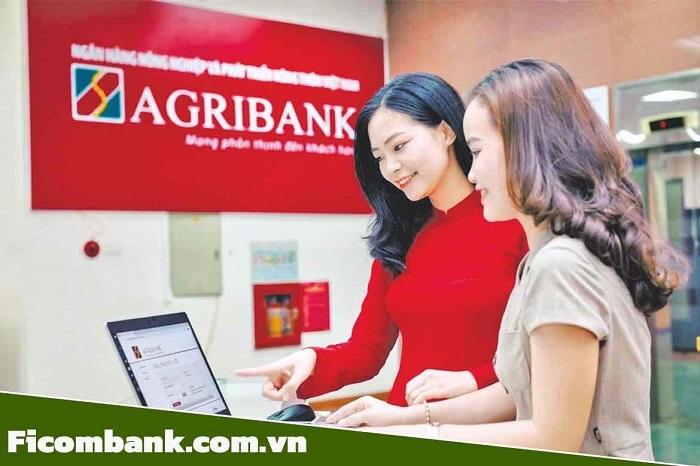 Ngân hàng Agribank cho vay 300 triệu theo hình thức nào?